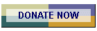 DONATE NOW